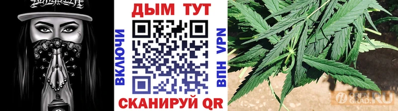 Бошки марихуана THC 21%  гидра ссылки  Чайковский  купить  